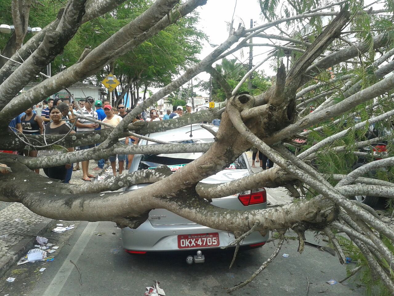 Árvore cai em cima de táxi próximo a colégio eleitoral