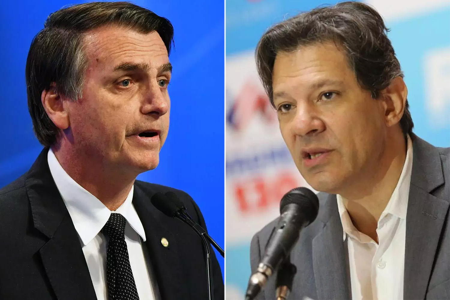 ParanÃ¡ Pesquisas: Bolsonaro tem 31,2% e Haddad 20,2% 