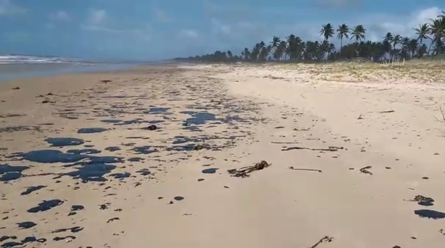Manchas de óleo que atingem litoral do Nordeste chegam na Bahia, diz Tamar