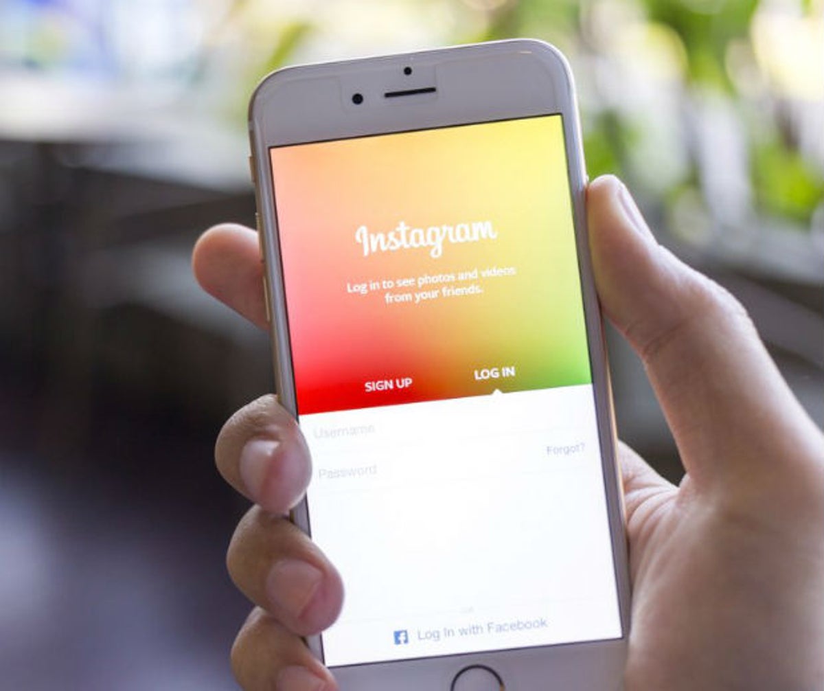 Instagram vai separar seguidores em categorias; entenda