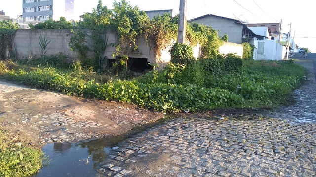 Moradores reclamam de falta de limpeza, buracos e terrenos baldios em Feira de Santana