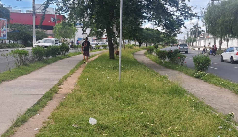 Praticantes de atividade física reclamam da falta de manutenção e pavimento ruim do canteiro da Avenida Fraga Maia