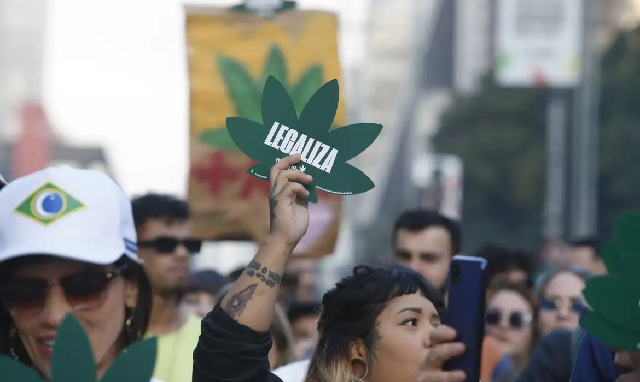 Maconha