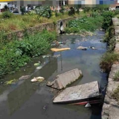 Flagrantes da comunidade: moradores de Feira de Santana relatam problemas do dia a dia