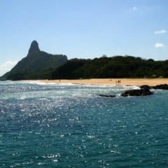 Estudo revela presença de espécies exclusivas em ilhas brasileiras