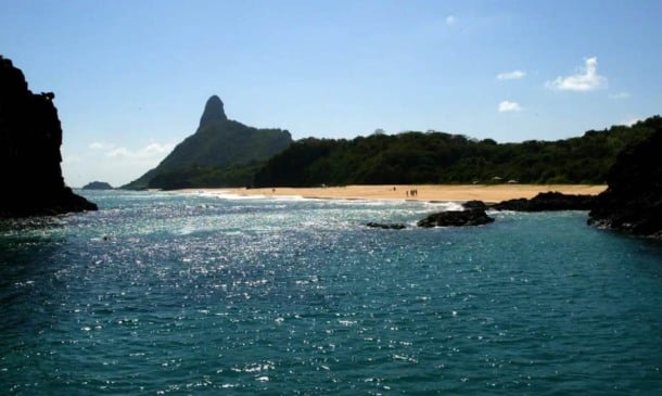 Estudo revela presença de espécies exclusivas em ilhas brasileiras