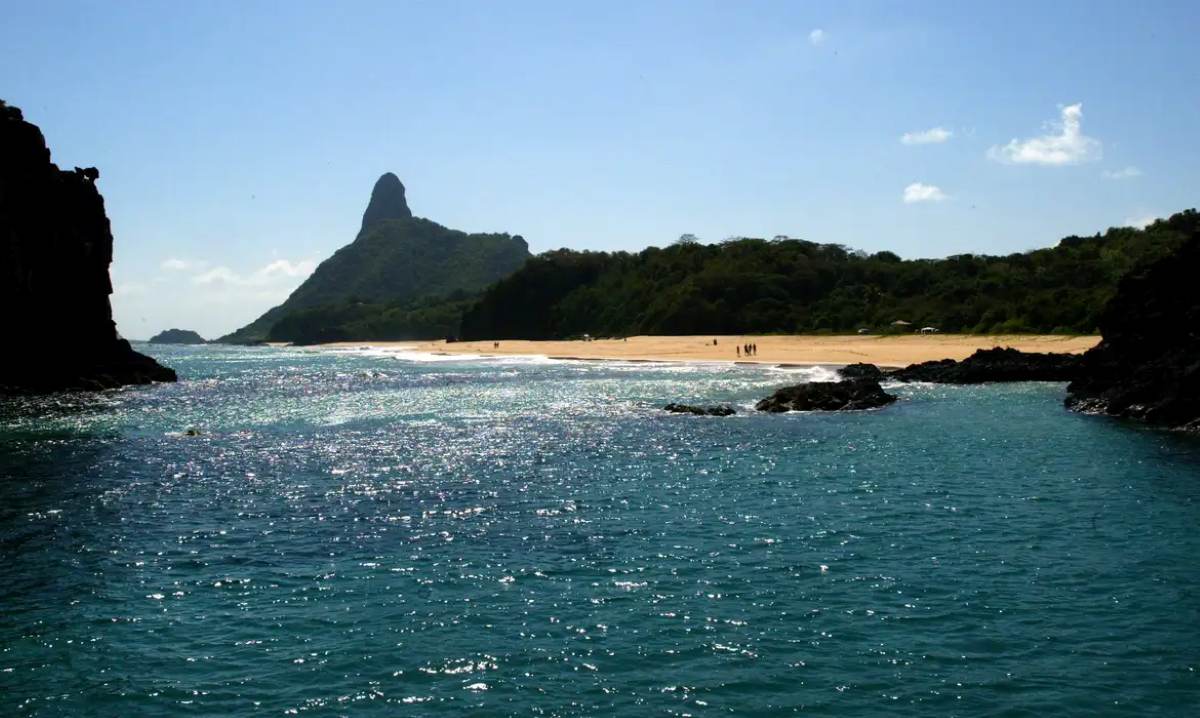 Estudo revela presença de espécies exclusivas em ilhas brasileiras